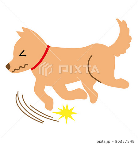 犬 健康 病気 つまずく すべる イラスト素材のイラスト素材