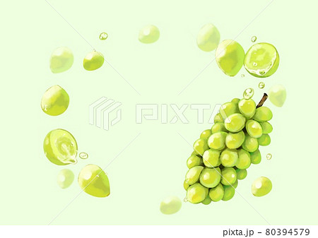 シャインマスカットのイラスト素材 シャインマスカットのイラスト素材