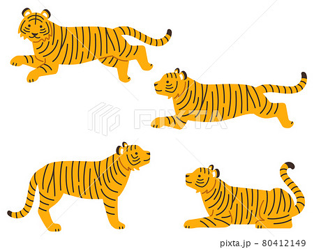 四足歩行 動物の写真素材