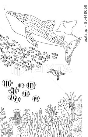 小魚群れ さかなのイラスト素材