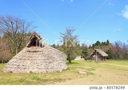 縄文時代の竪穴住居の写真素材