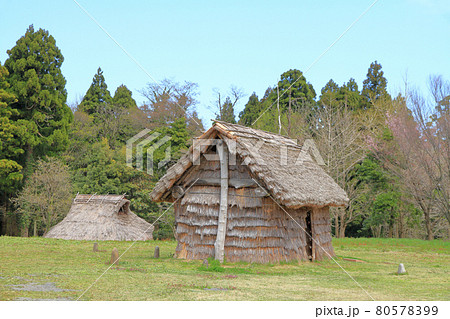 縄文時代の竪穴住居の写真素材