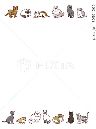 エキゾチックショートヘアのイラスト素材