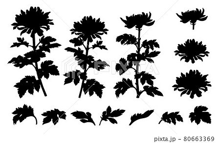 花 白黒 一輪のイラスト素材