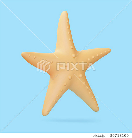 ひとでのイラスト素材