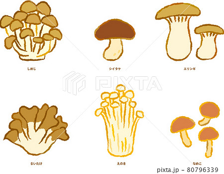えのき茸のイラスト素材