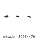 蟻の行列のイラスト素材