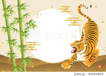 虎 和柄 ベクター カッコイイの写真素材