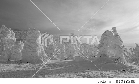 雪原 風景 モノクロ 冬の写真素材