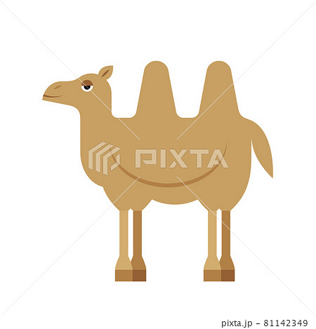 フタコブラクダのイラスト素材