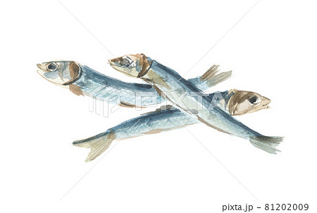 版画　うるめいわし 楽天市場】イワシ [下園薩男商店] 焼ウルメ丸干し 20g /鹿児島 うるめ