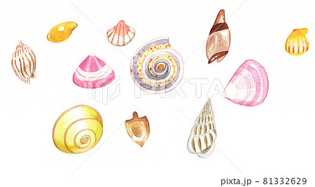 巻貝のイラスト素材