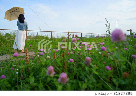 人物 女性 後ろ姿 傘 若い 屋外 季節の写真素材