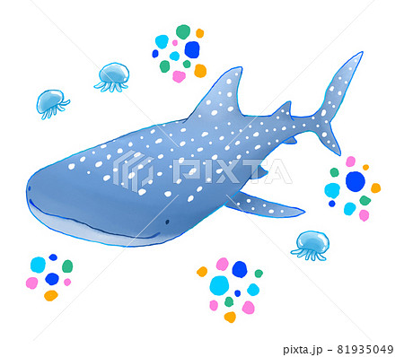 Sharkのイラスト素材