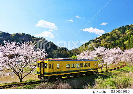 桜 春 鉄道 いすみ鉄道の写真素材 - PIXTA