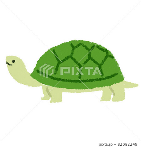 かめ 亀 カメ クレヨンのイラスト素材 - PIXTA