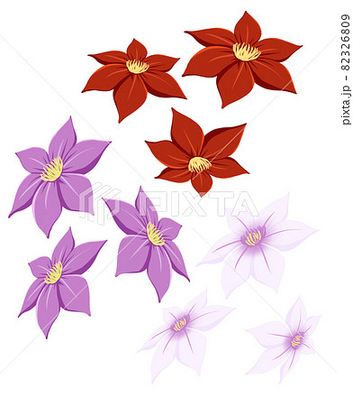 鉄線花のイラスト素材