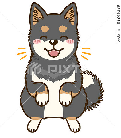 柴犬 犬 日本犬 黒柴のイラスト素材 - PIXTA
