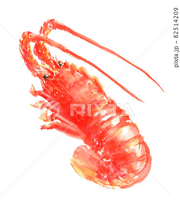 伊勢海老のイラスト素材