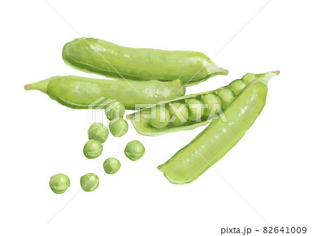 グリーンピースのイラスト素材
