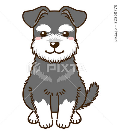 ミニチュアシュナウザーのイラスト素材