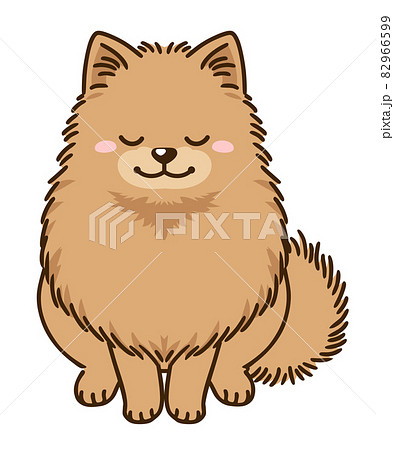 ポメラニアン かわいいのイラスト素材