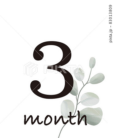 月齢カードのイラスト素材