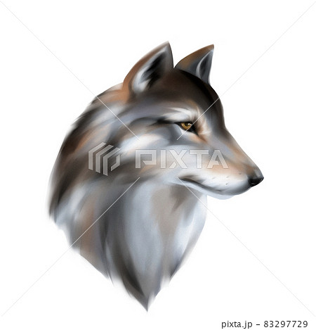 狼 かわいい おおかみのイラスト素材