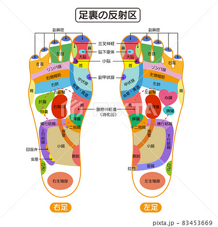 足つぼのイラスト素材