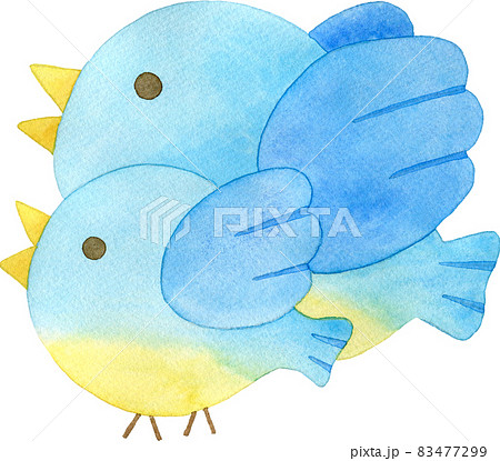 親子で鳴く青い鳥