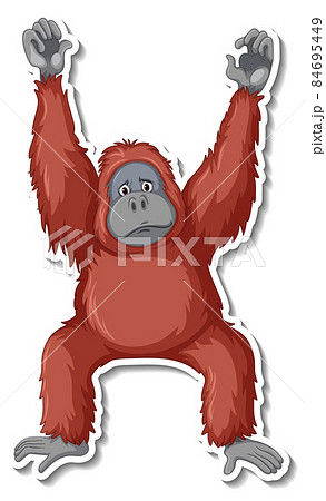 オラウータン かわいいのイラスト素材