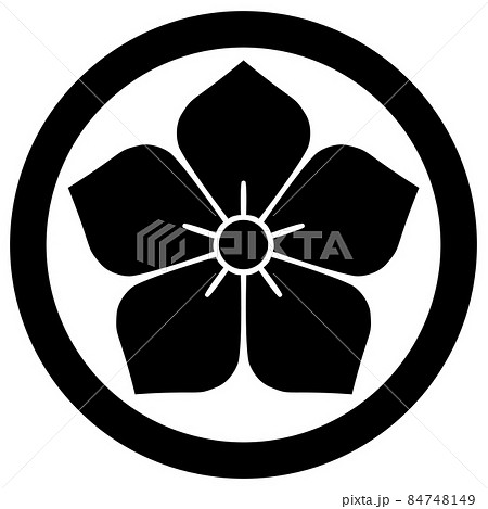 古布藍染 家紋 丸に桔梗 古布藍染 家紋 丸に桔梗