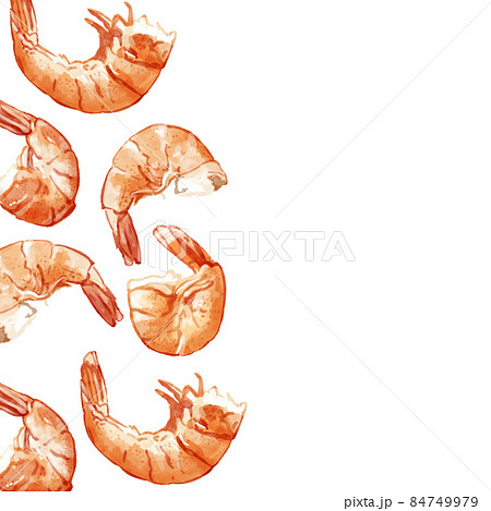 エビ 海老 のイラスト素材集 ピクスタ