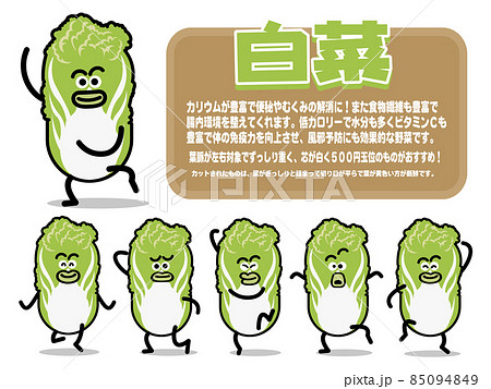 白菜 はくさい かわいい イラスト 白バック 野菜のイラスト素材