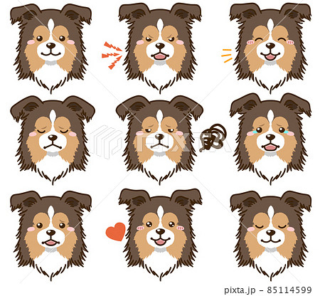 可愛い動物のイラスト素材一覧 選べる豊富な素材バリエーション