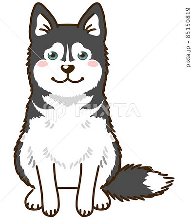 シベリアンハスキーのイラスト素材