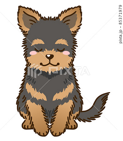 ヨークシャーテリアのイラスト素材