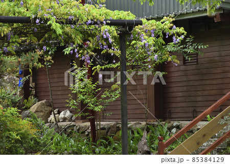 森の中の一軒家 家屋の写真素材