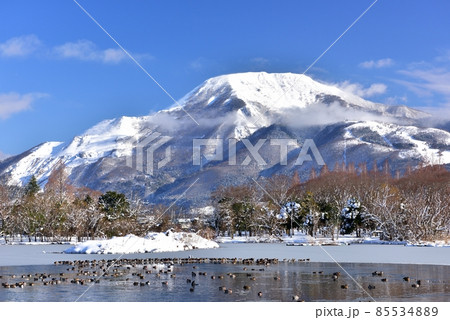 油絵冠雪伊吹山 伊吹山初冠雪」 by 杉本 勇｜Artmeter｜暮らしを彩るアートが