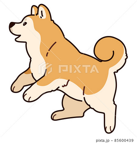 柴犬 ベクター 子犬 走る犬のイラスト素材