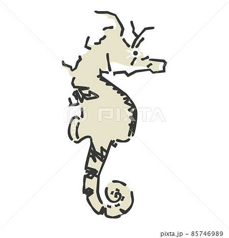 シードラゴンのイラスト素材