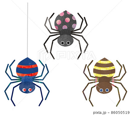 クモ 蜘蛛 のイラスト素材集 ピクスタ