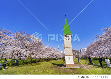 東京スカイツリー 猿江恩賜公園 時計塔 東京都の写真素材