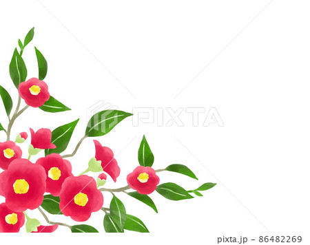 冬の花のベクター素材集 ピクスタ