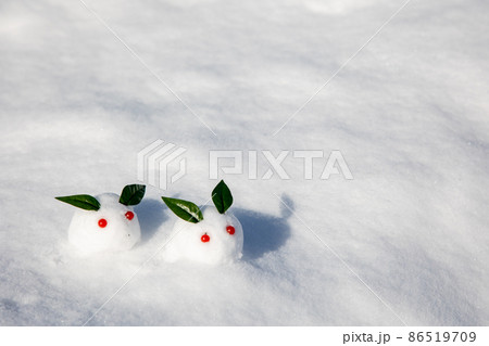 ゆきうさぎ 雪だるまの写真素材 - PIXTA