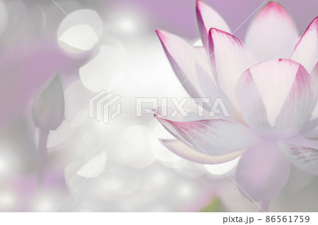 お釈迦様のイラスト素材 お釈迦様のイラスト素材