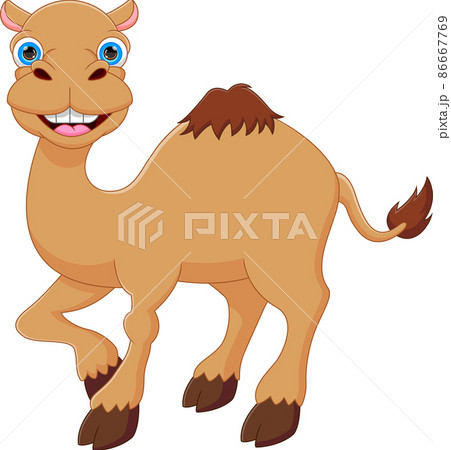 ラクダ かわいいのイラスト素材