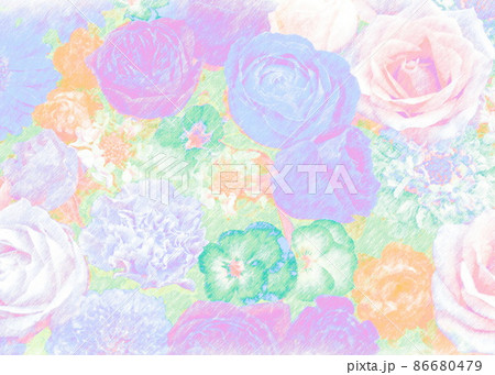 花 薔薇 色鉛筆画 リアルイラストのイラスト素材