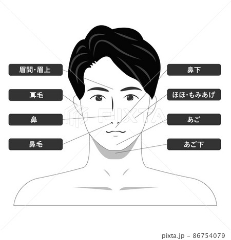 鼻のイラスト素材集 ピクスタ