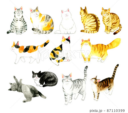 三毛猫のイラスト素材集 ピクスタ